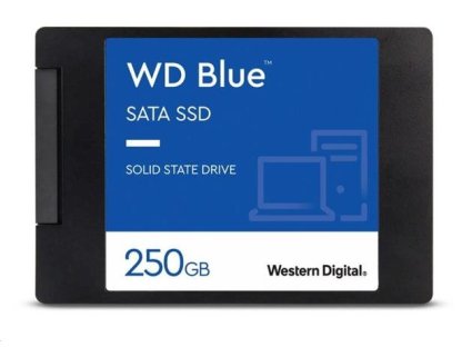 WD 1TB Blue SA510 (WDS100T3B0A)