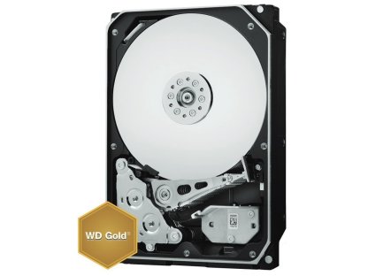 WESTERN DIGITAL Gold 2TB (WD2005FBYZ)