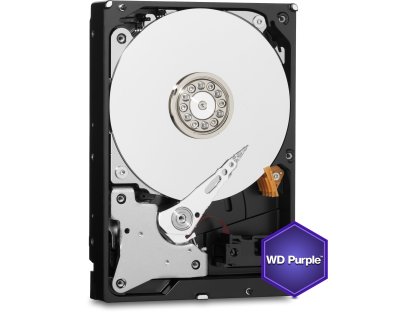 WESTERN DIGITAL Purple Purple 3TB (WD30PURZ)