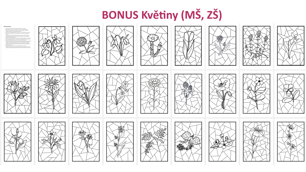 Bonus - Květiny-mozaika