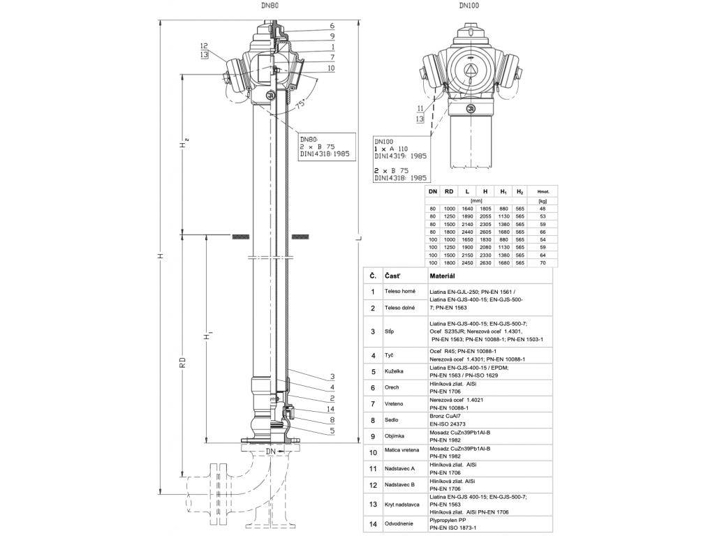 Nadzemný hydrant 8855 DN100