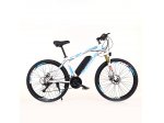 FRIKE, Elektryczny rower górski, Easy 20", 29", niebiesko-biały, 2022
