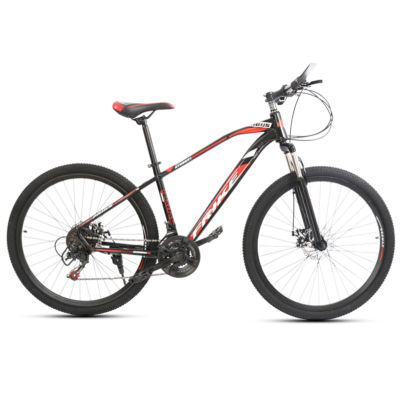 Mountain bike FRIKE 29\