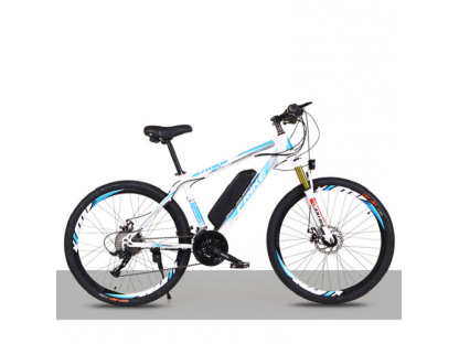 Electric mountain bike FRIKE 26