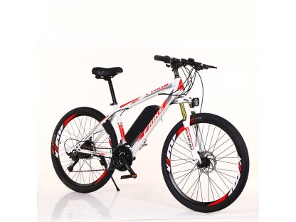 E-bikes - Wide Selection for City and Terrain, Modern Design and