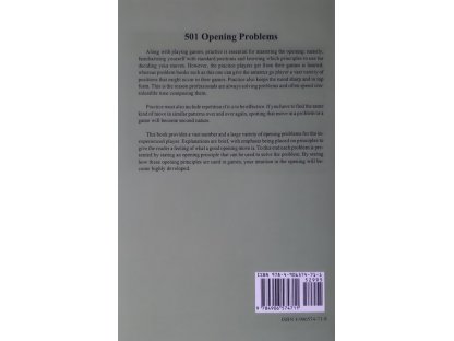 Five Hundred and One Opening Problems 2