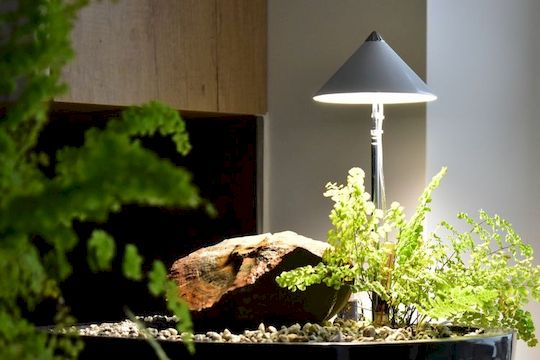 Plnospektrální LED osvětlení zajistí zdravý růst vašich rostlin v interiéru