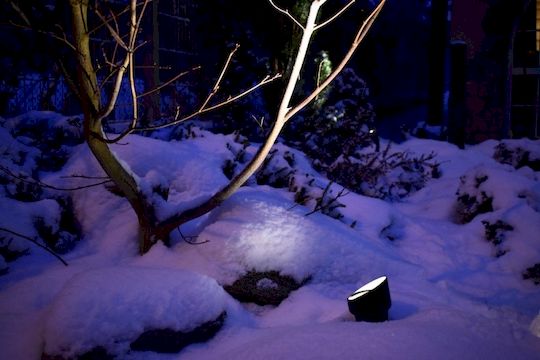 Osvětlení zahrady v zimě aneb Když mrzne až praští, v záři našich reflektorů se vše blyští