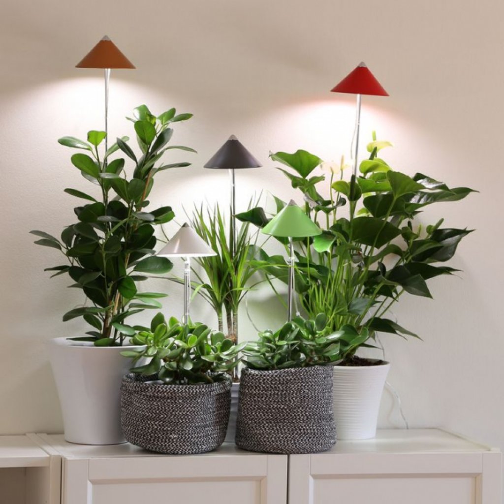 SUNLiTE zelená 7W - LED osvětlení pro růst pokojových rostlin