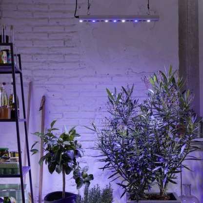 GrowLight Quattro 30W, pěstební LED osvětlení, podpora růstu rostlin v interiéru