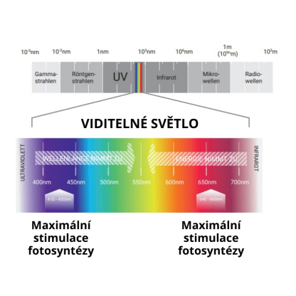 LED lišta 150 cm k osvětlení zelené stěny v interiéru