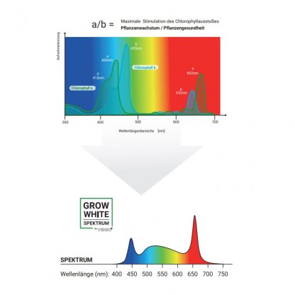 Pěstební LED 15W, osvětlení pro přezimování středomořských rostlin, E27, 230V