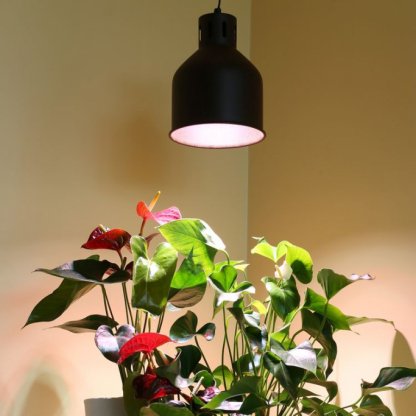 Pěstební LED 18W, celoroční osvětlení pokojových rostlin, E27, 230V 2