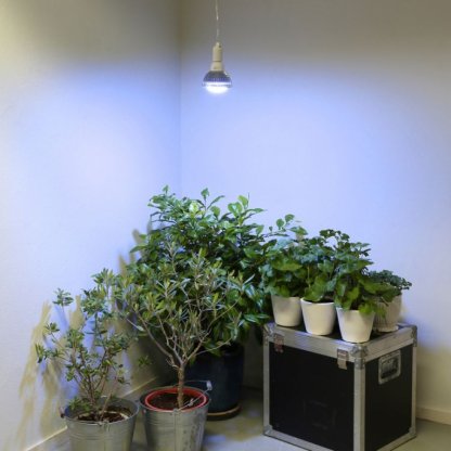 Pěstební LED 18W, osvětlení pro přezimování středomořských rostlin, E27, 230V