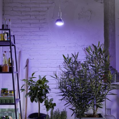 Pěstební LED 18W, osvětlení pro přezimování středomořských rostlin, E27, 230V 2