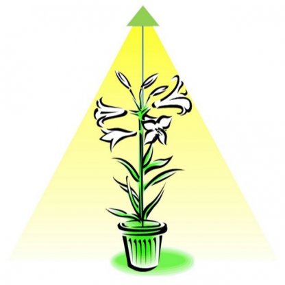 SUNLiTE bílá 7W - LED osvětlení pro růst pokojových rostlin