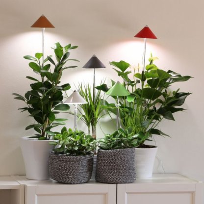 SUNLiTE červená 7W - LED osvětlení pro růst pokojových rostlin