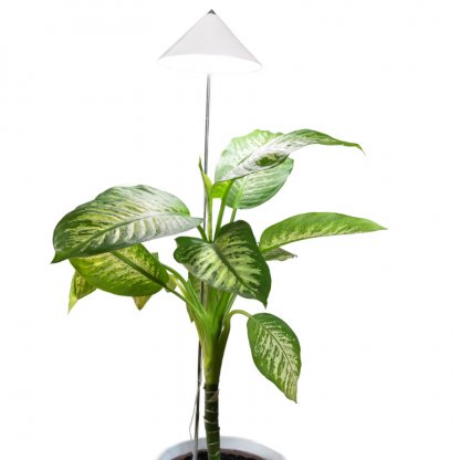 SUNLiTE XL 25W bílá, LED osvětlení pro pokojové rostliny