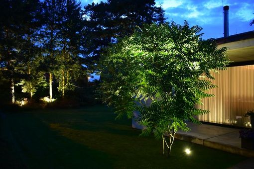 Dekorativní osvětlení stromu v zahradě