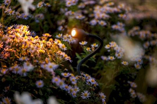 Dekorativní zahradní osvětlení 12V Xible