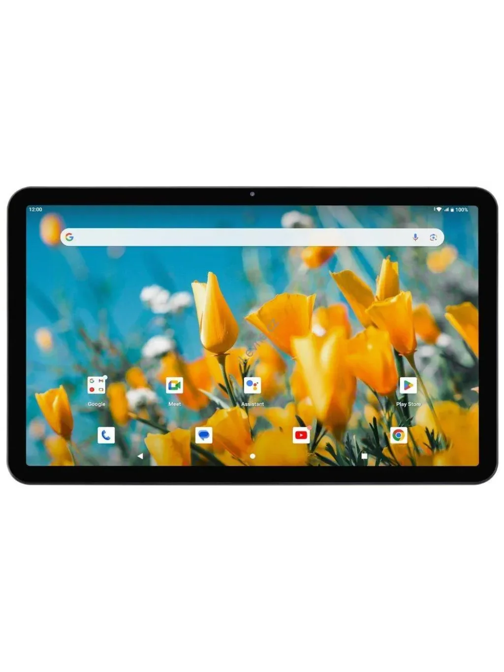 UMAX tablet PC VisionBook 11T LTE Pro/ 10,95" IPS/ 2000x1200/ T606/ 6GB/ 128GB Flash/ USB-C/ slot SD/ Android 12/ šedý