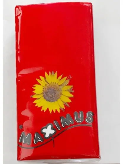 Hygienické papírové kapesníky
