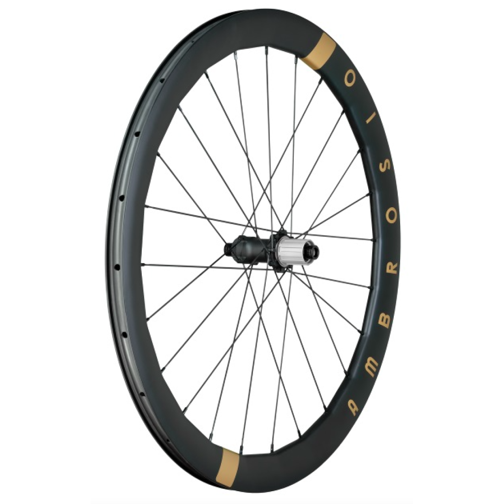 Zapletená silniční / gravel karbonová kola Ambrosio JULIET46.4