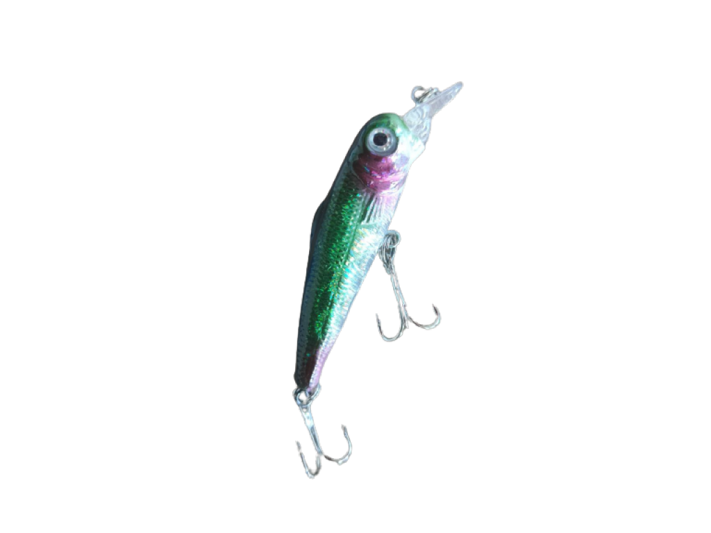 Wobler Fl  Fishing 5.5 cm