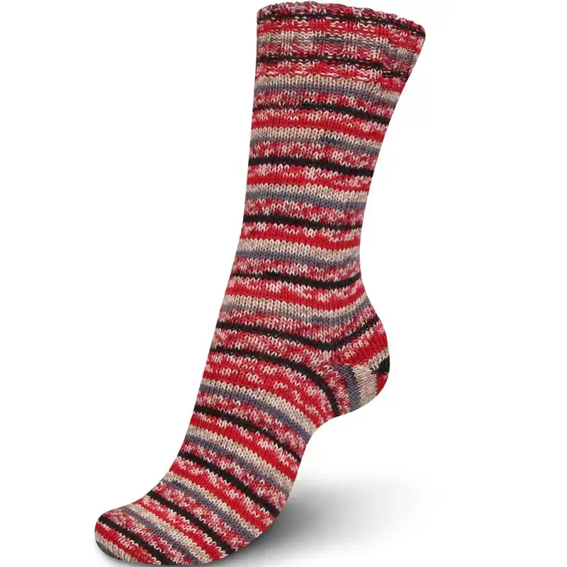 Regia 4-Ply Color Christmas edition 2455 bisquits color