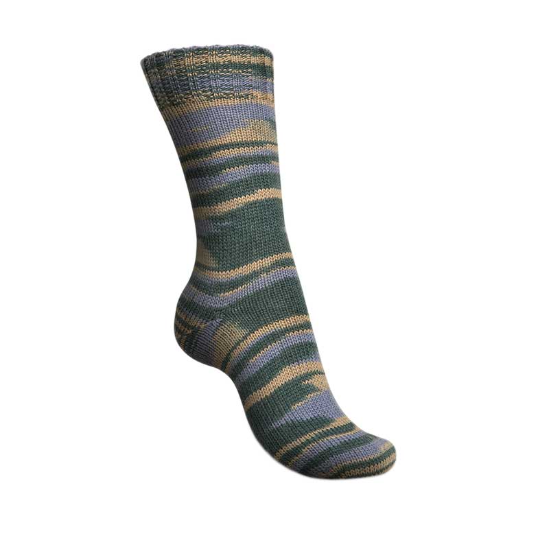 Regia 4-Ply Urban Jungle Color 2599 Šedá-šalvěj