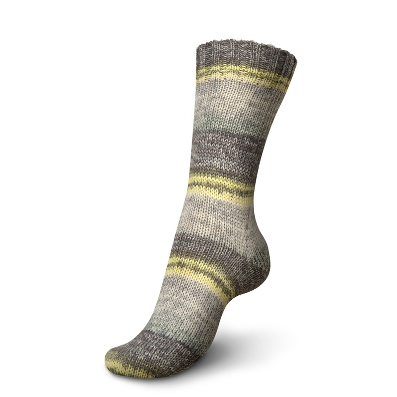 Regia 6-ply Nordic Nature Color 6107 Mitternachtssonne