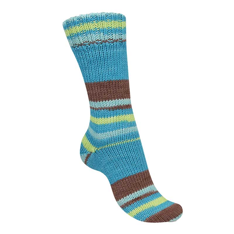 Regia 6-ply Talking Lines Color 5102 Clove-capri