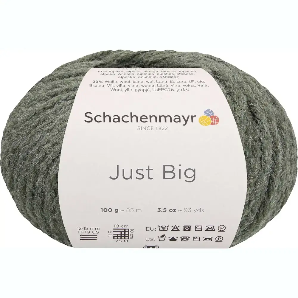 Schachenmayr Just Big 70 Salbei meliert