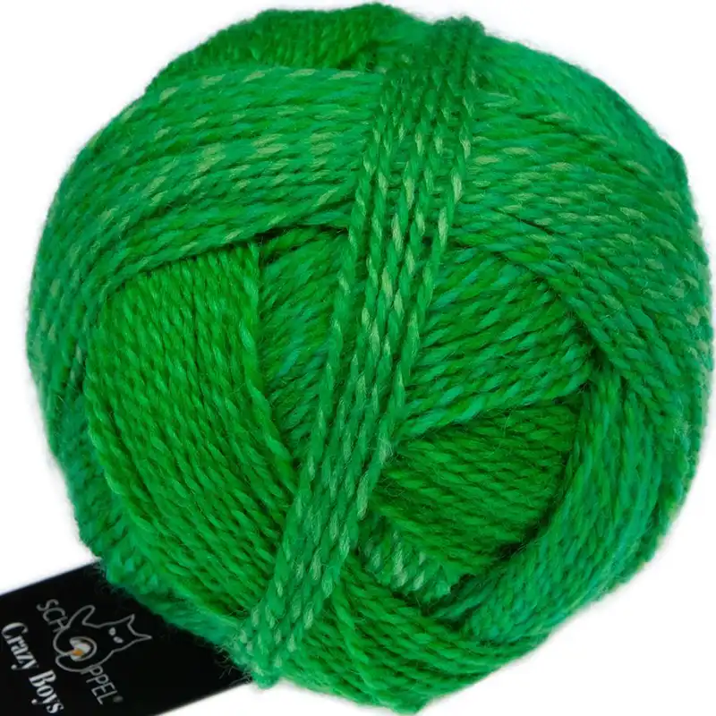 Schoppel Wolle Crazy Boys 2695 Konrad