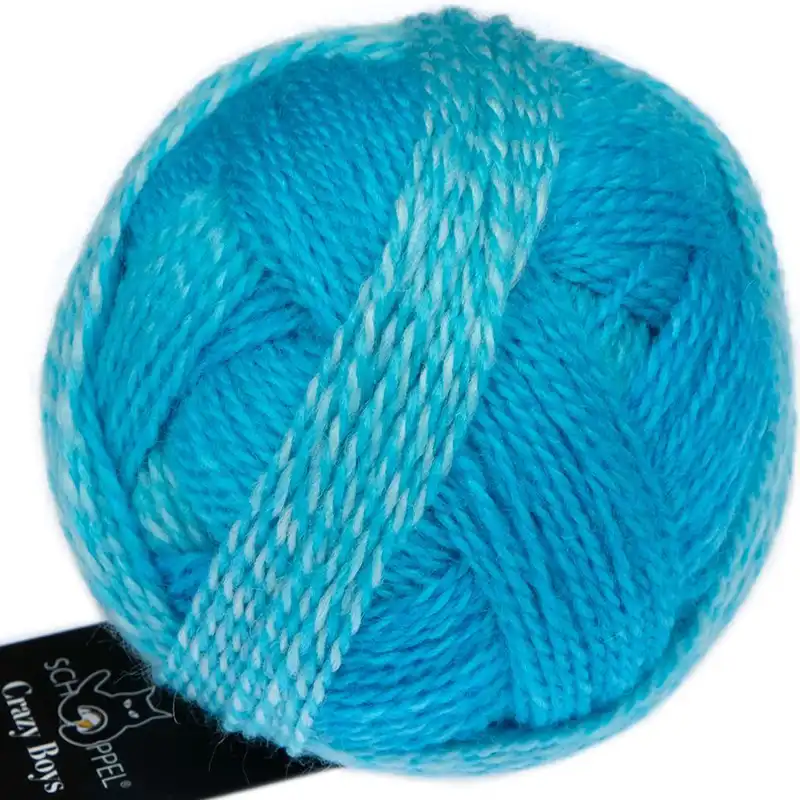Schoppel Wolle Crazy Boys 2696 Ludwig