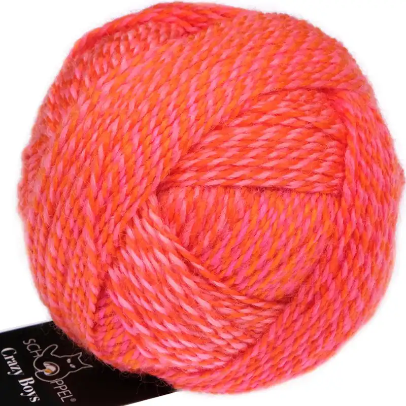 Schoppel Wolle Crazy Boys 2705 Gerhard