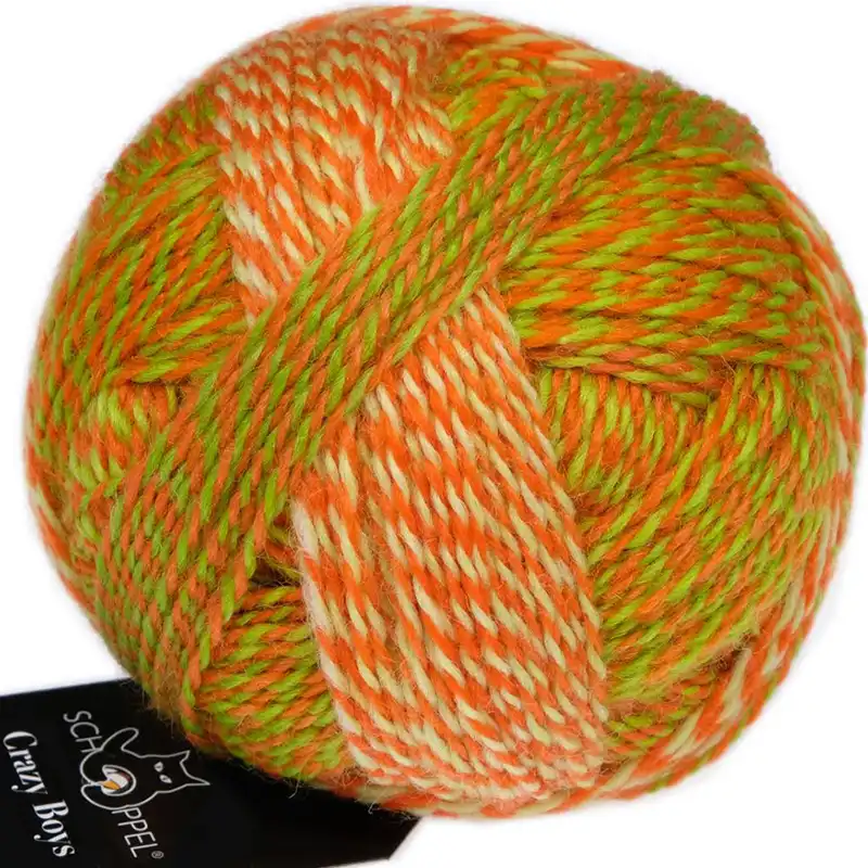 Schoppel Wolle Crazy Boys 2706 Olaf