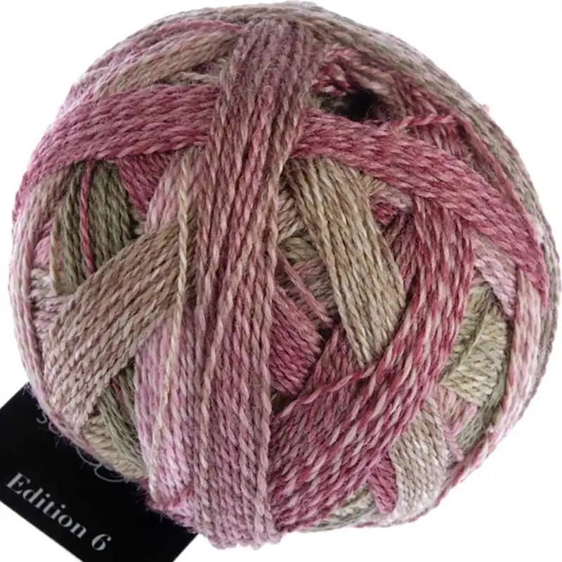Schoppel Wolle Edition 3 2442 Holzklasse