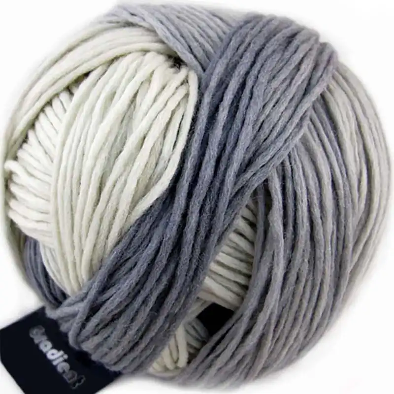 Schoppel Wolle Gradient 1508 Schatten