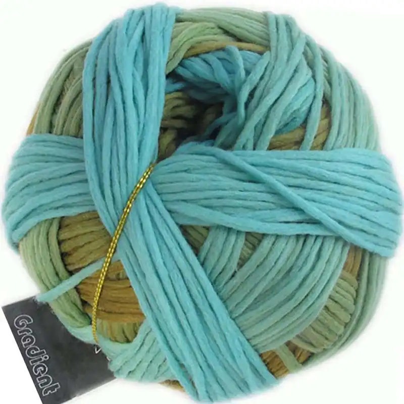 Schoppel Wolle Gradient 2202 Pustekuchen