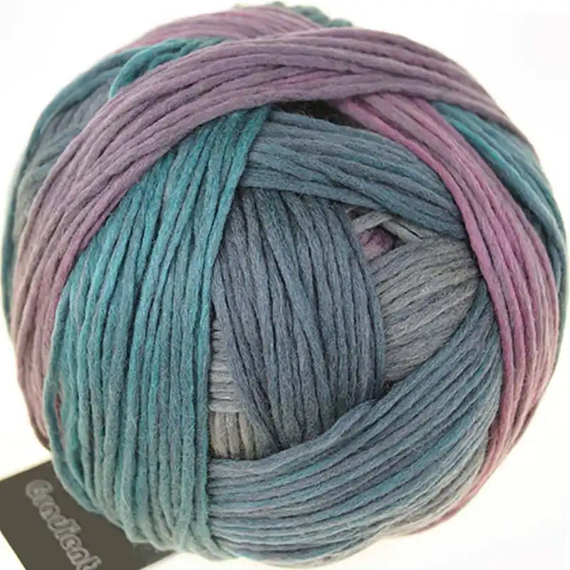 Schoppel Wolle Gradient 2262 Fankurve