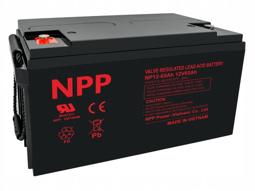 Baterie NPP NP12-65Ah