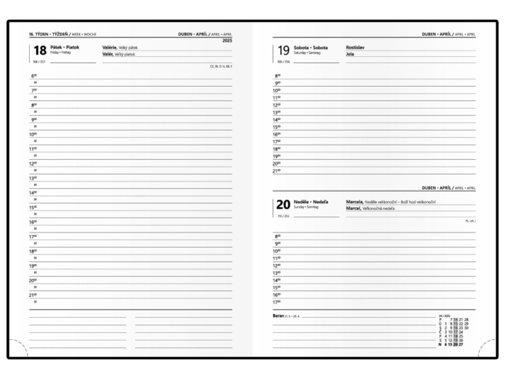 Diář 2025 denní B6 Adam BDA62-10-25 - Chmýří