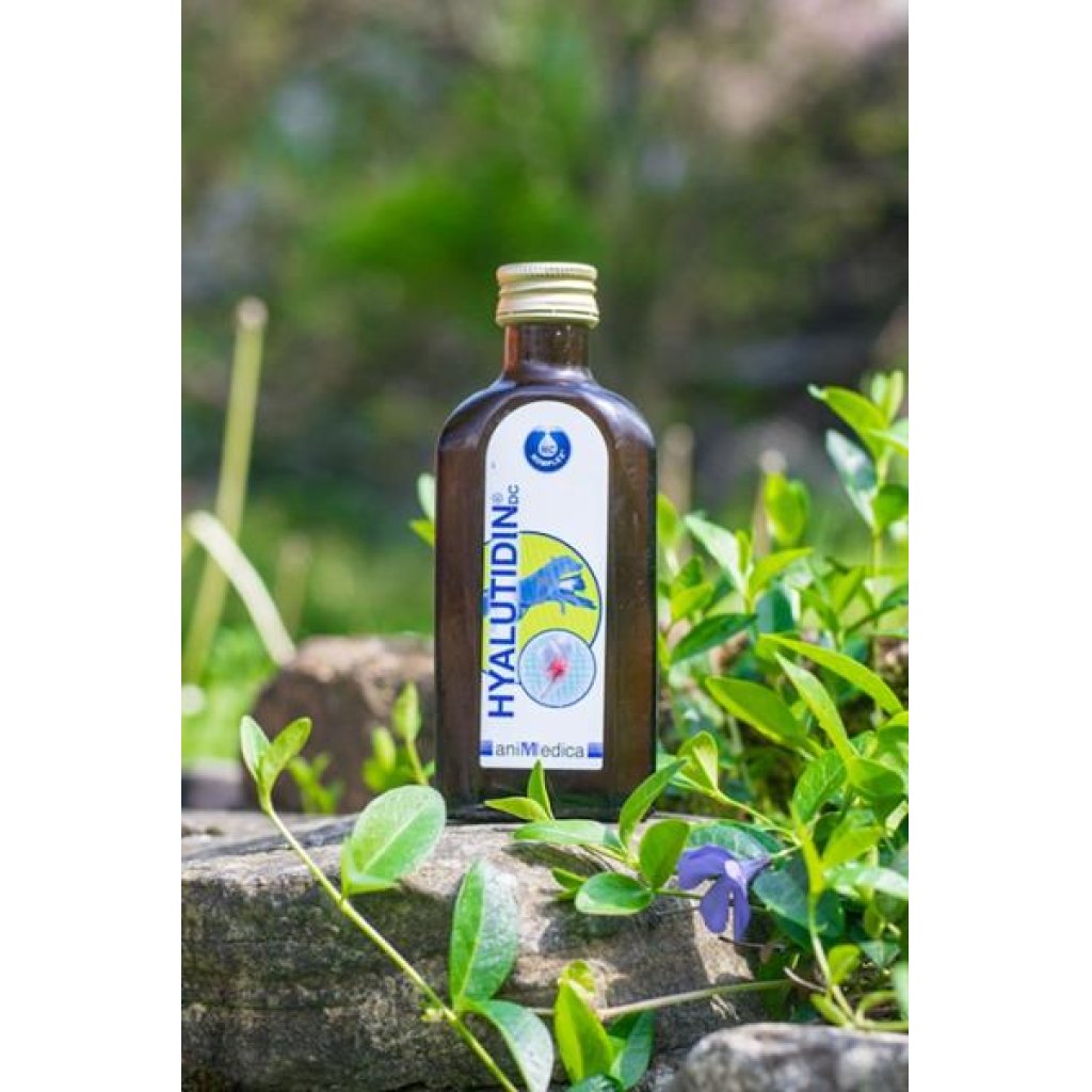 Hyalutidin DC ACTIV pro psy a kočky 2x125ml - Krmivodomů