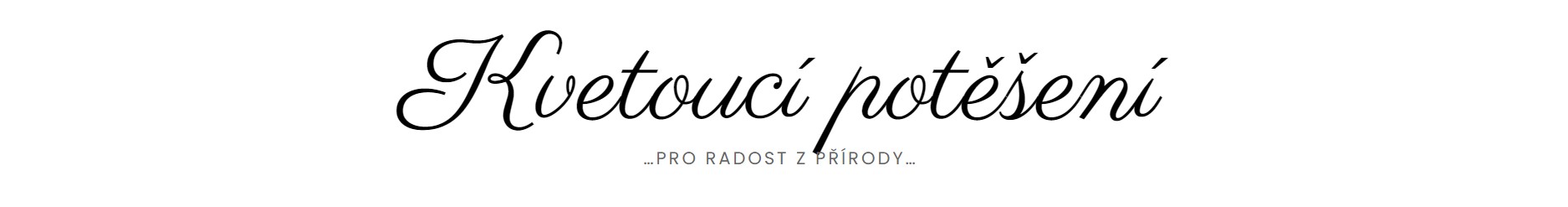 Ibiškový svět - Kvetoucí potěšení 