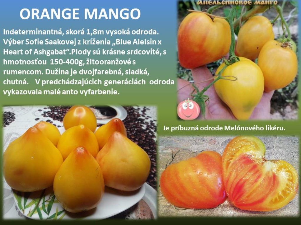 Orange Mango