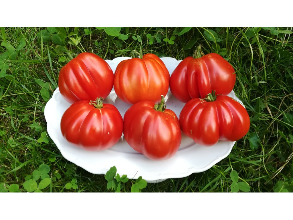 Red Pear Abruzzese