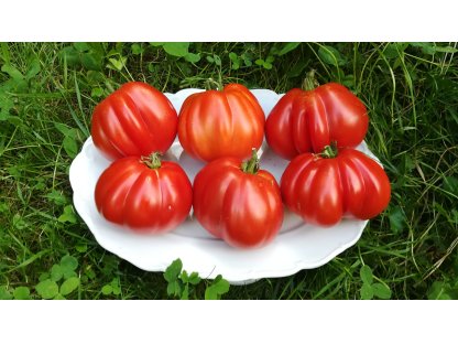 Red Pear Abruzzese