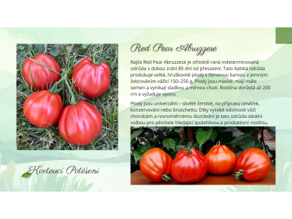 Red Pear Abruzzese 2