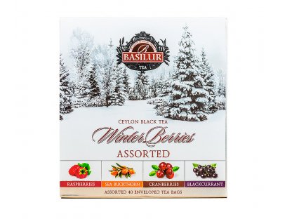 BASILUR Winter Berries Assorted 40 gastro sáčků